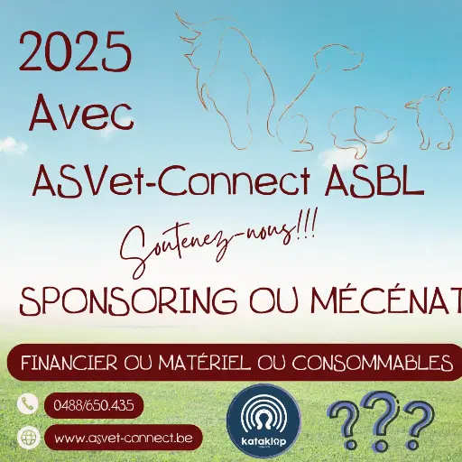 Sponsoring - Mention sur nos Canaux