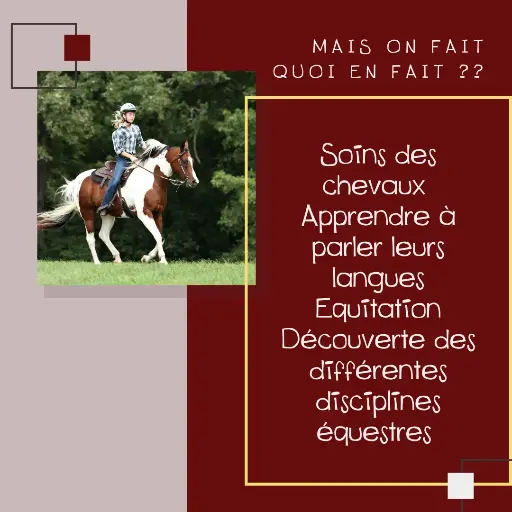 Forfait 1 séance activités équestres par semaine 