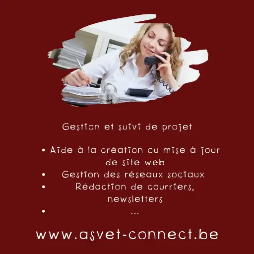 Consultance gestion et suivi de projet